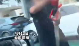 耍流氓视频,耍流氓视频背后的真相与反思